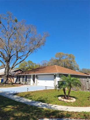 13611 Old Farm Dr, Tampa, FL 33625