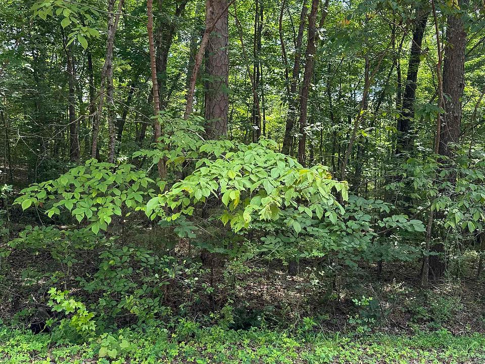2nd image of 8596 Woodview Ln Lot 1