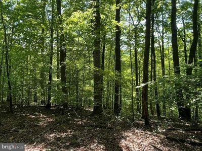 2 Fiery Run Rd #A, Linden, VA, 22642