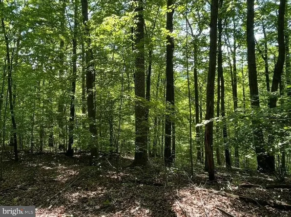 2 Fiery Run Rd #A, Linden, VA 22642