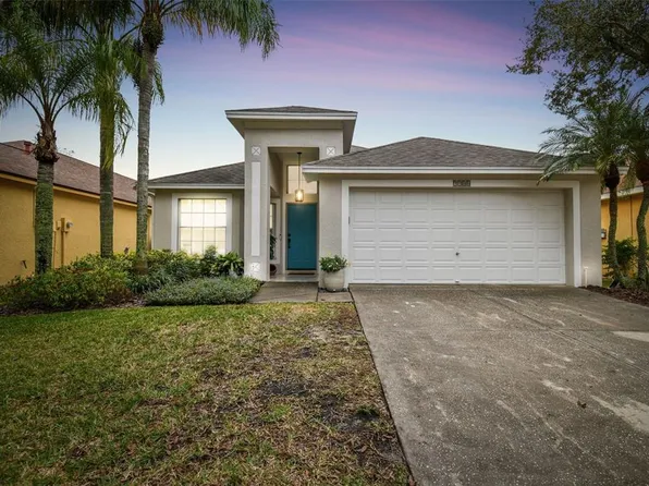 9906 Hartwell Bridge Cir, Tampa, FL 33626