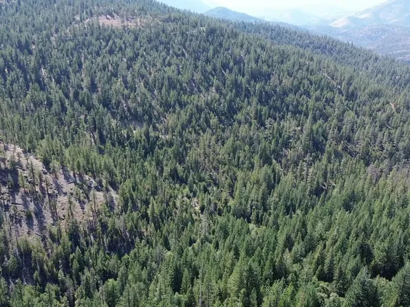 Xx Kangaroo Creek Rd, Callahan, CA 96014