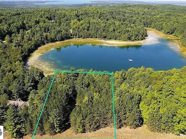 4810 Truax Lake Rd, Williamsburg, MI 49690