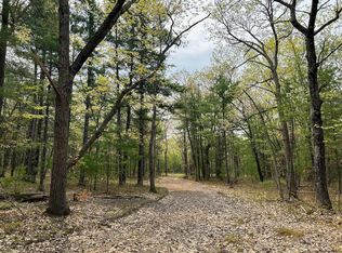 Vacant Horizon Trl, Indian River, MI 49749