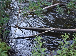 B And C S Straits Hwy, Wolverine, MI 49799