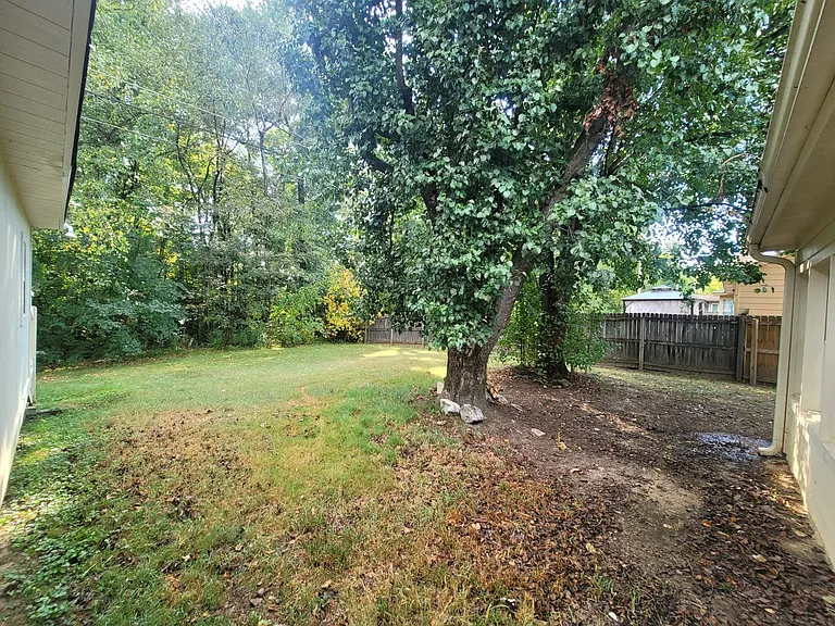 Back yard