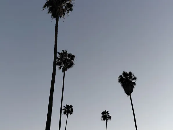 2627 Buckingham Rd, Los Angeles, CA 90016
