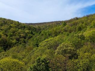 2242 Laurel Springs Dr, Roseland, VA 22967