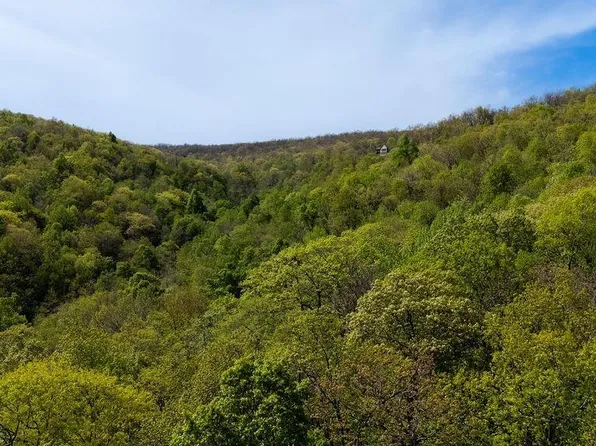 2242 Laurel Springs Dr, Roseland, VA 22967