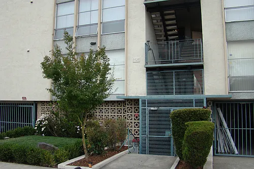 Dimond Apartments Photo 1