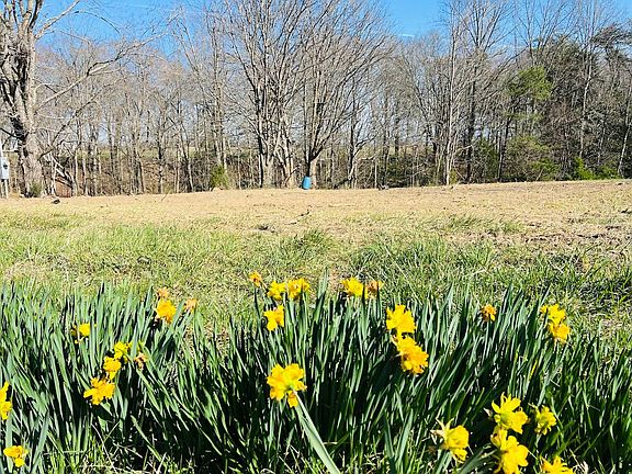 4th image of 1075 Patterson Rd Tract 13