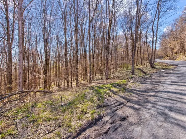 0 Moon Hill Rd #7, Skaneateles, NY 13152