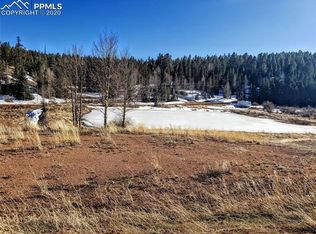 385 Shadow Lake Dr, Divide, CO 80814