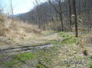 1164 Thomas Branch Rd, Marshall, NC 28753