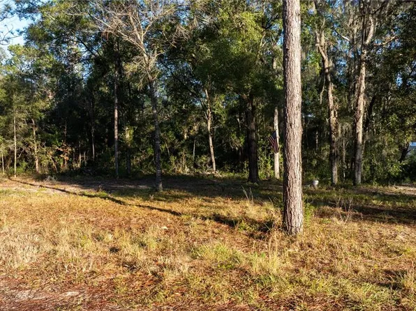 155TH CT LOT 6, WILLISTON, FL 32696