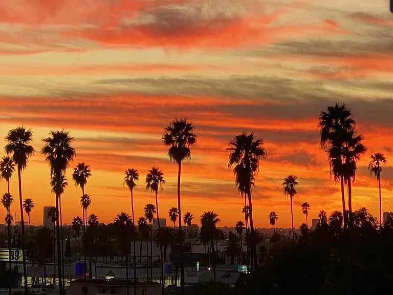Normandie Hollywood, LLC — Photo 22