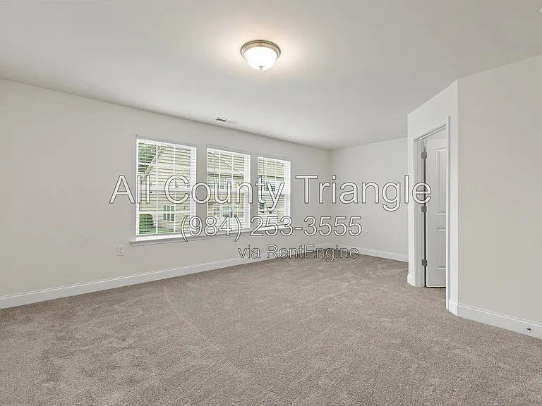 1005 Amber Shadow Dr — Photo 27