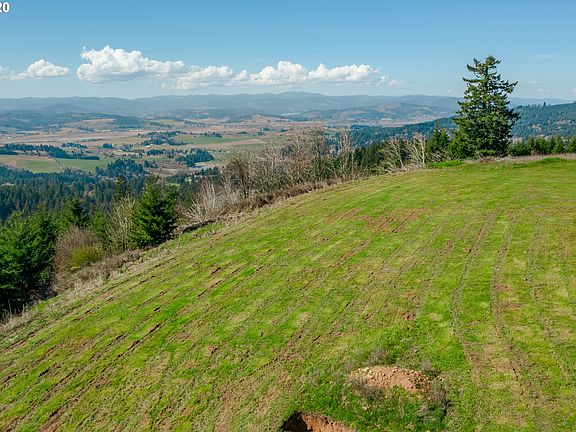 4th image of 35921 SW Bald Peak Rd