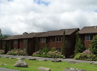 25 Mountain View Road #B-3, East Jewet, NY 12424