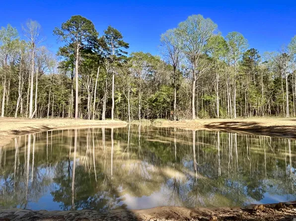 25 Lillian Ln, Ethel, LA 70730
