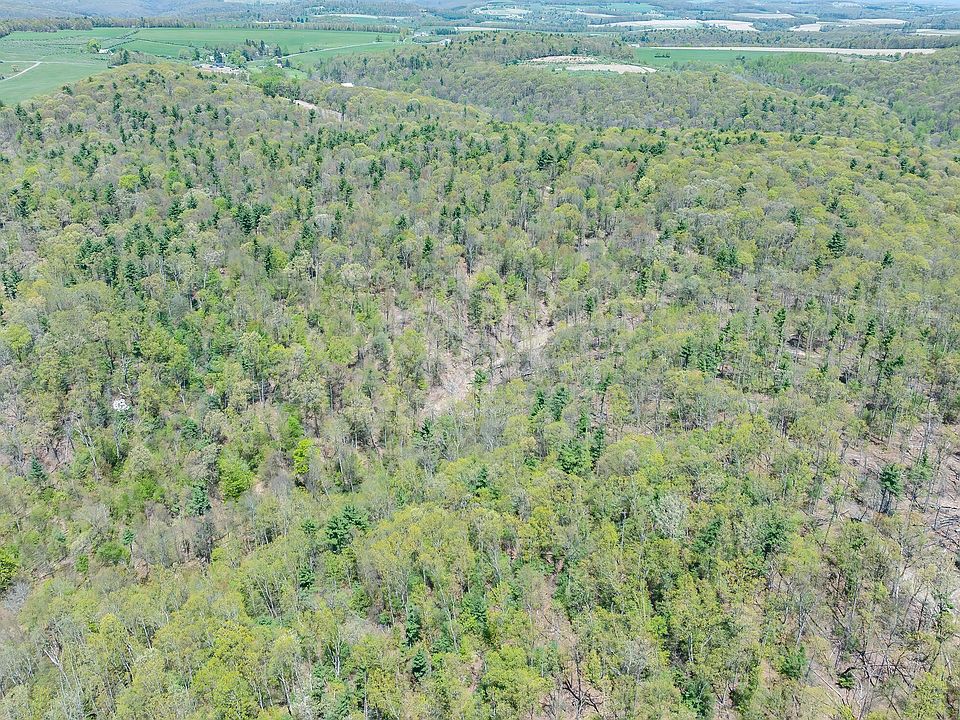 2nd image of LOT 4 Patton Hill Rd