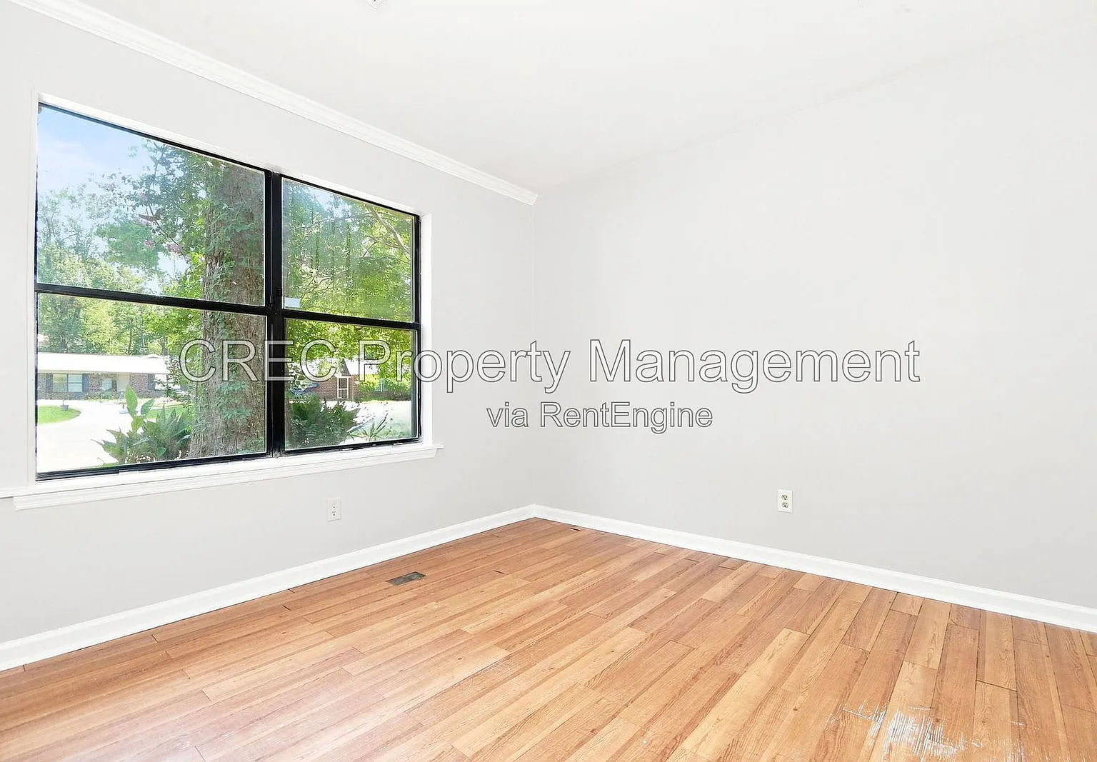 2 bed, 1.5 bath, 1127 sqft, $1,450 — Photo 3