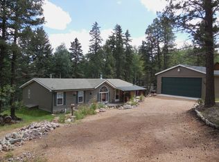 149 Deer Ridge Trl, Florissant, CO 80816