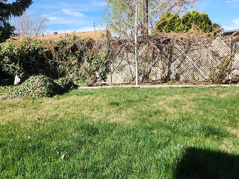 2062 E Susan Way — Photo 11
