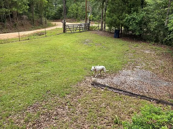 546 Chief Rd, Abbeville, AL 36310