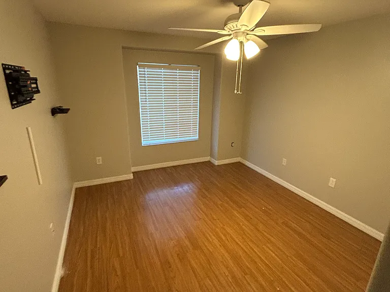 31216 Masena Dr — Photo 16