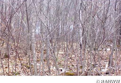 5th image of Lot 1 Twin Bay Road