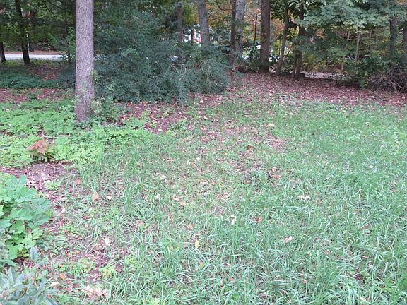 Yard space