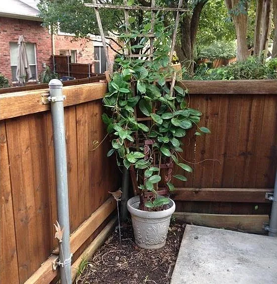 7049 Van Gogh Dr — Photo 8