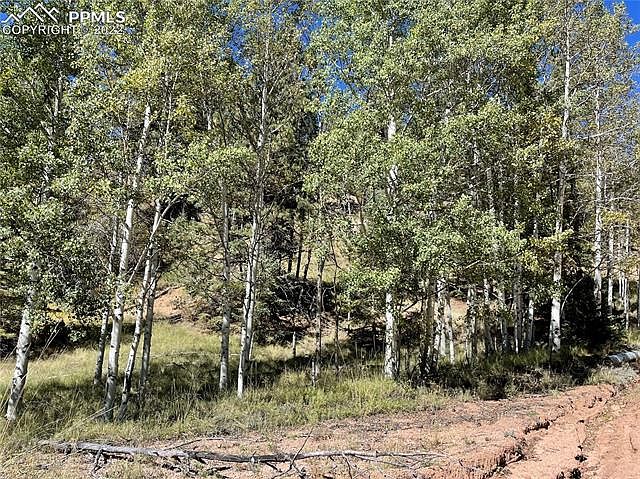 2nd image of 876 Pinon Ln