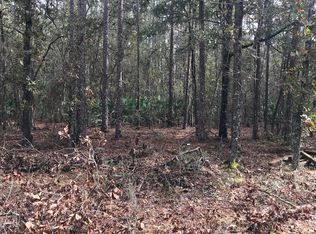 3920 June Bug Ln, Middleburg, FL 32068