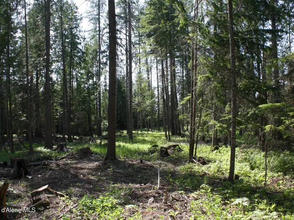 Nka River Lake Dr, Clark Fork, ID 83811