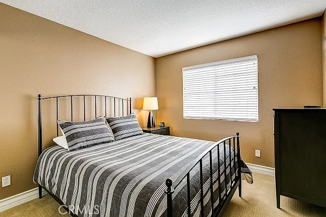 2439 Paseo Circulo — Photo 24