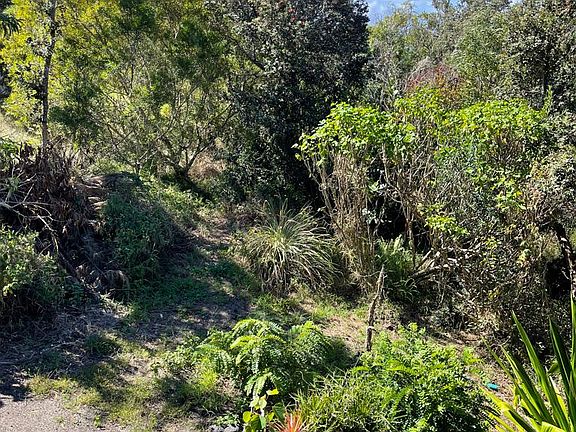 Back Yard- Lots of opportunity to plant.