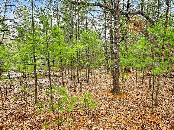 3rd image of 5 ac KL Townline Road