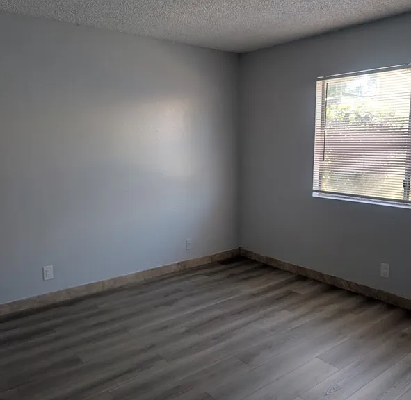 26415 Olive Dr #C — Photo 5