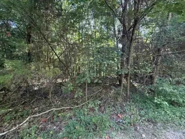 2235 Larry Hunt Rd, Raywick, KY 40060