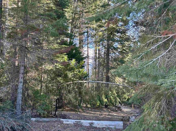 PARCEL 3 Deetz Rd, Mount Shasta, CA 96067