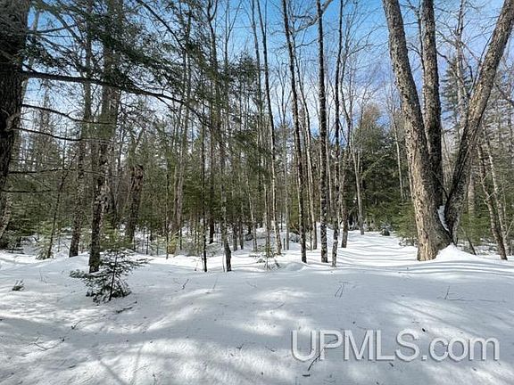 4th image of LOT 7 W Tamarack Lake Rd