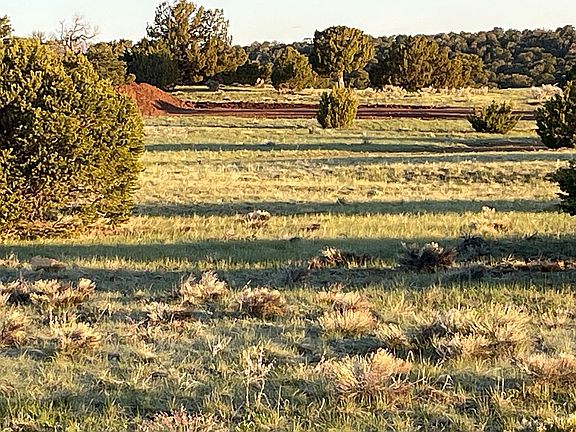 3rd image of 65 F Navajo Rnch #4