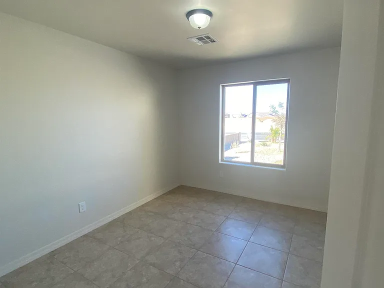 12673 S 50th Dr — Photo 11