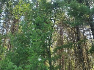 Blue Lake Rd, Minocqua, WI 54548