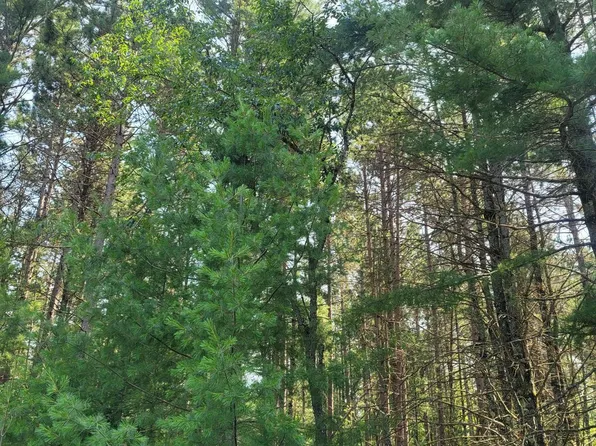 Blue Lake Rd, Minocqua, WI 54548