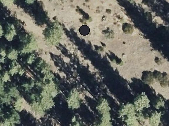 3rd image of 976 Moon Shadow