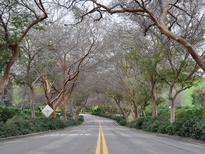 491 High Sierra Dr, Exeter, CA, 93221