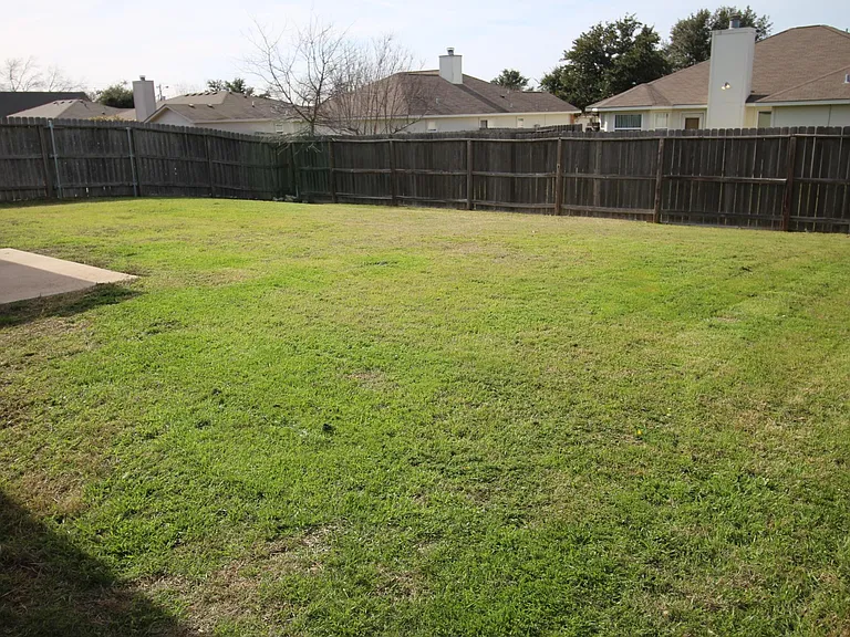 Back Yard